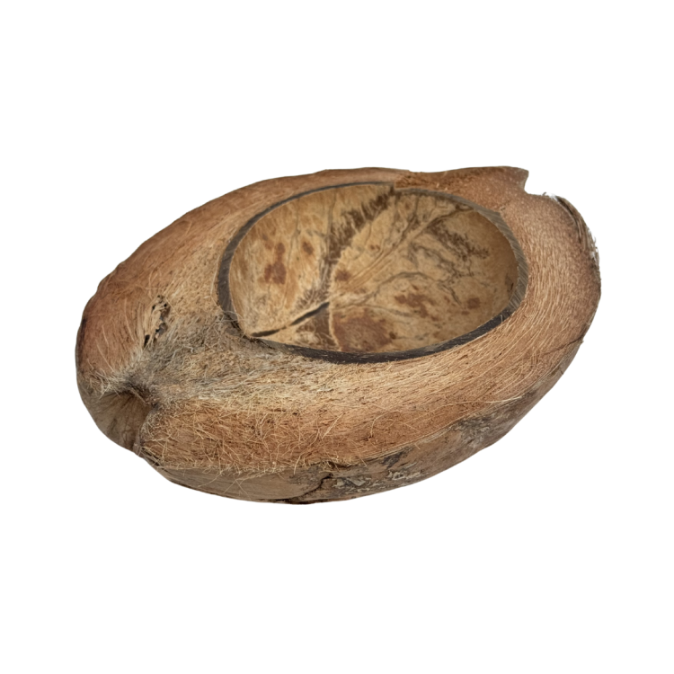 67dfb6c5a1e11cad19b3ce5f046aa994.png