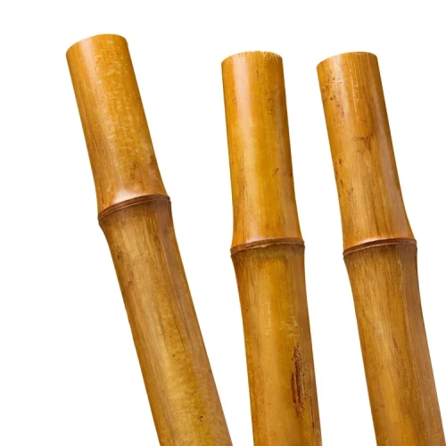 ffb459e0c0f09b917e84de7f85cf19af.webp