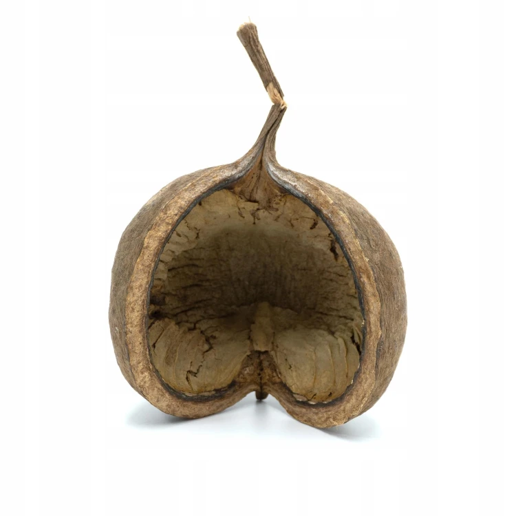 d0b0da093356cf2e1bd822e7e7aee347.jpg