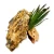 b00ca6e48e4fcd085a424e10f1ed1ffc.webp