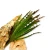 fbe36b6682a4926053678fe82499c995.webp