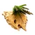 aee57fc879a50f07333d47a932621652.webp