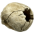 Czaszka człowieka z żywicy