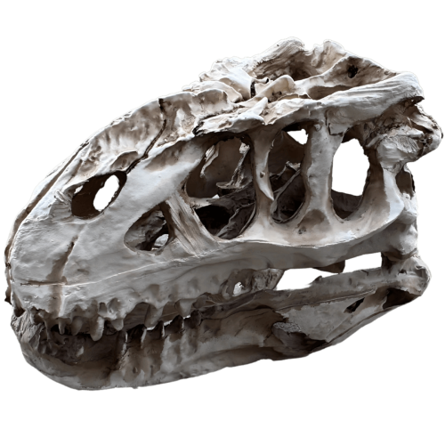 Czaszka dinozaura z żywicy