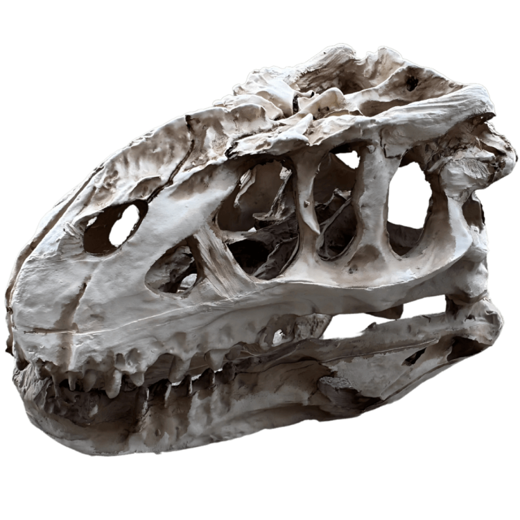 Czaszka dinozaura z żywicy