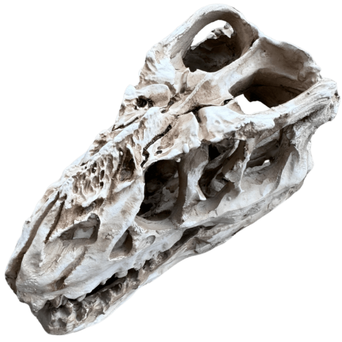 Czaszka dinozaura z żywicy