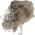 Porost szary 25g